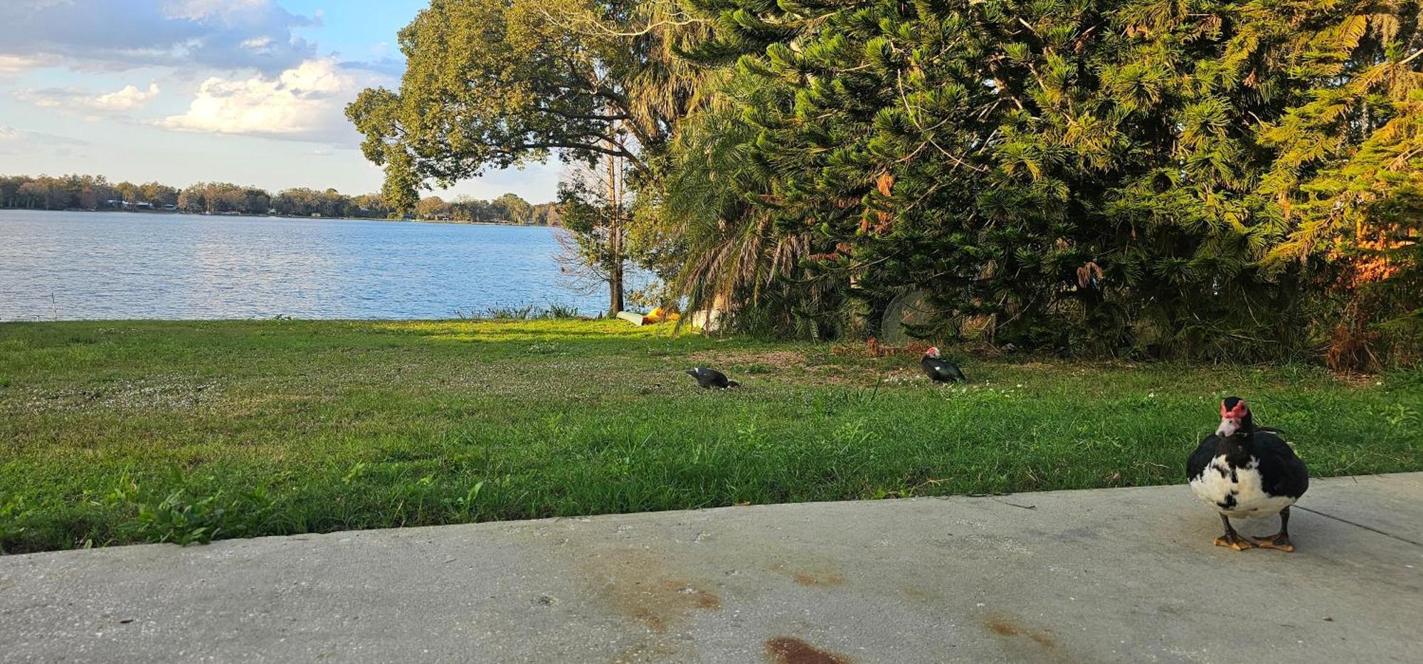 Lakeside Lofts At Lake Martha วินเทอร์เฮเวน ภายนอก รูปภาพ